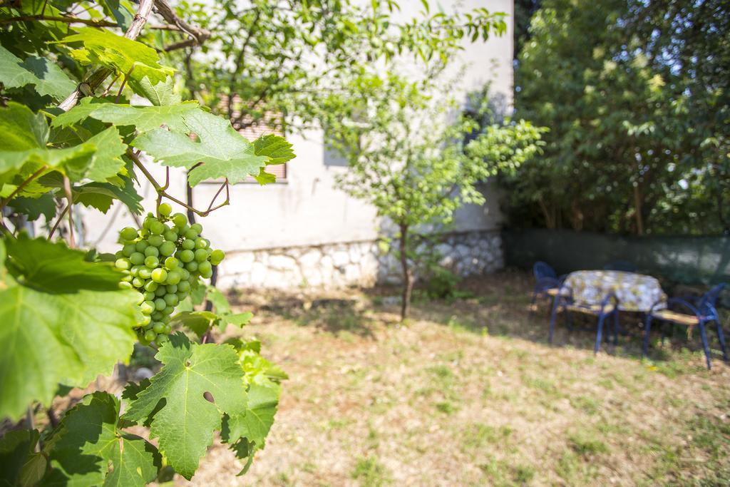 Apartments Cosy And Comfortably リエカ 部屋 写真